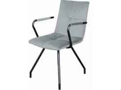 Fauteuils Eaden 225 (lot De 2)