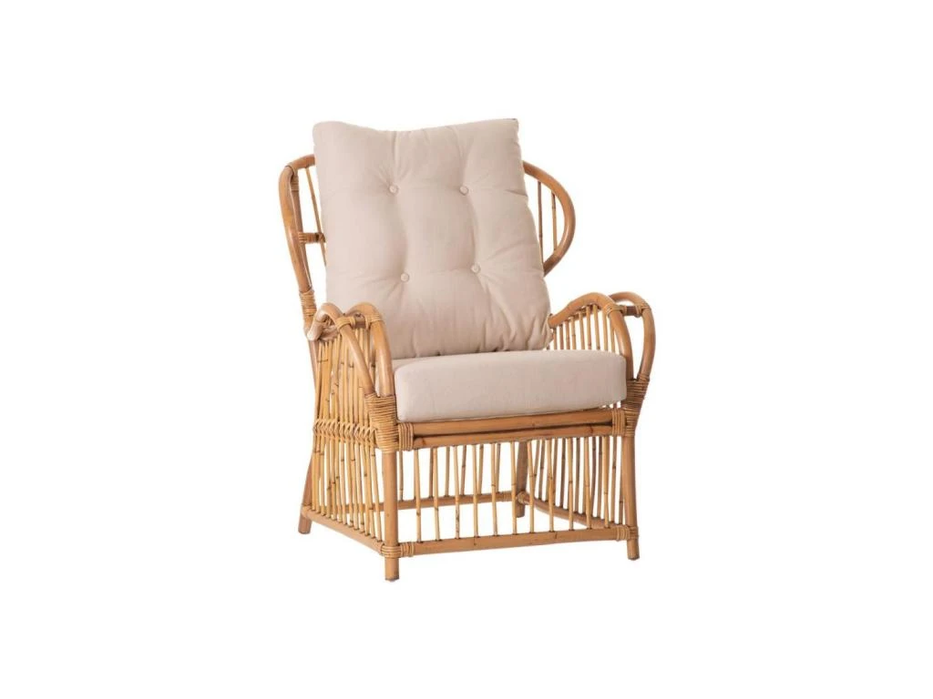 Fauteuil Ă Accoudoirs Avec Coussins Rotin - TEBIGY