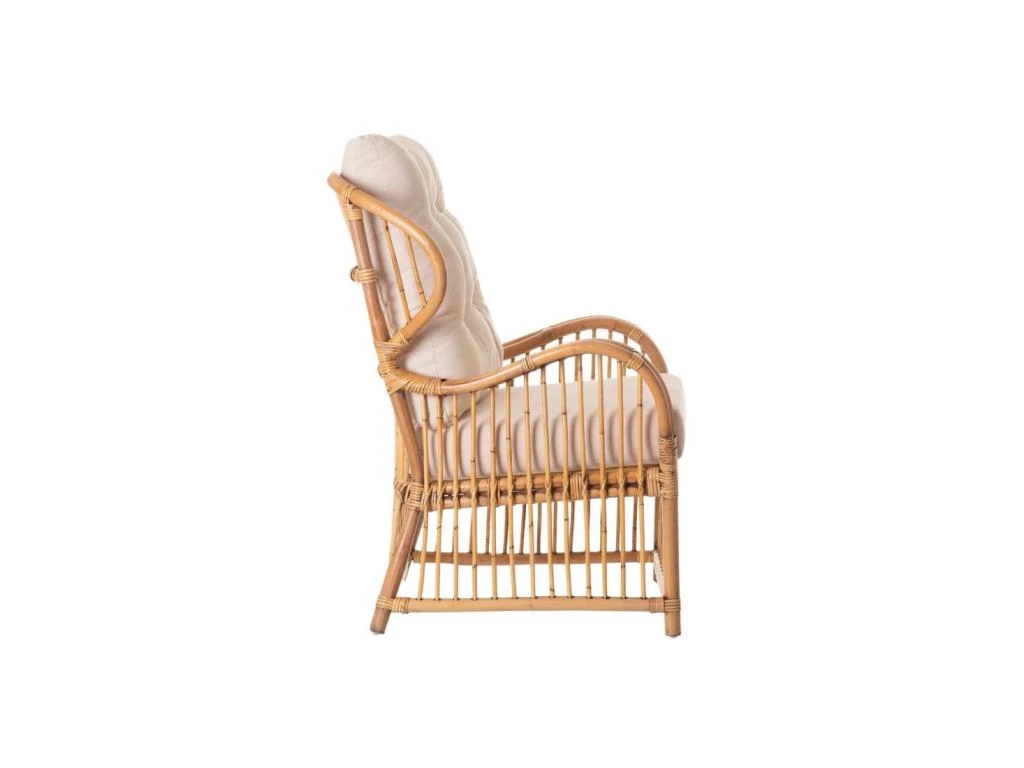 Fauteuil Ă Accoudoirs Avec Coussins Rotin - TEBIGY â Image 3