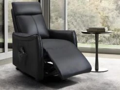 Fauteuil Releveur électrique En Cuir Noir PITALI